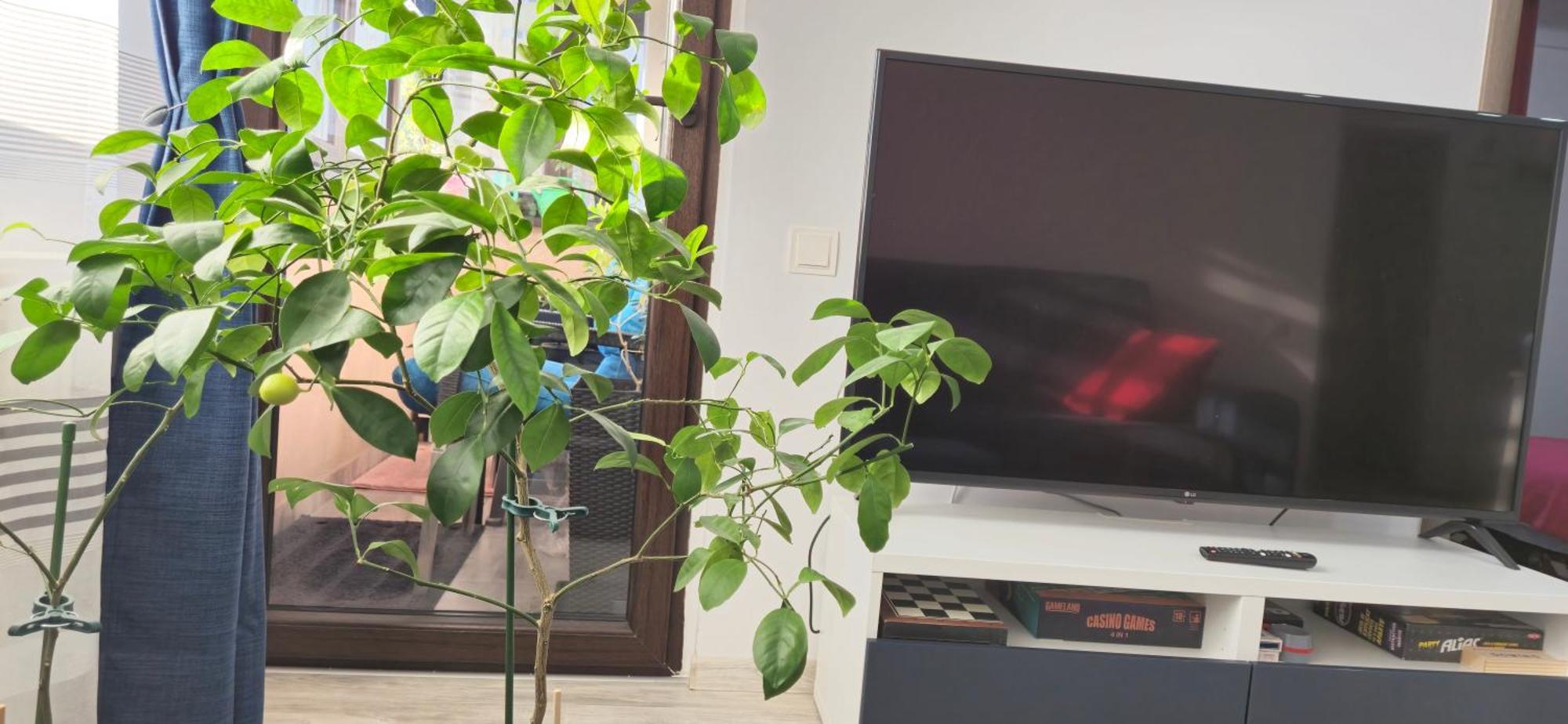 בוקרשט Littlebig Apartment מראה חיצוני תמונה
